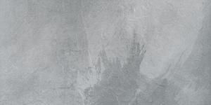 RHIN GRIS 60x120(F)